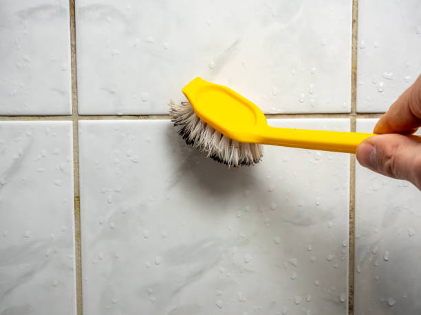 Best Toxic Mold Removal  in Kalkaska, MI