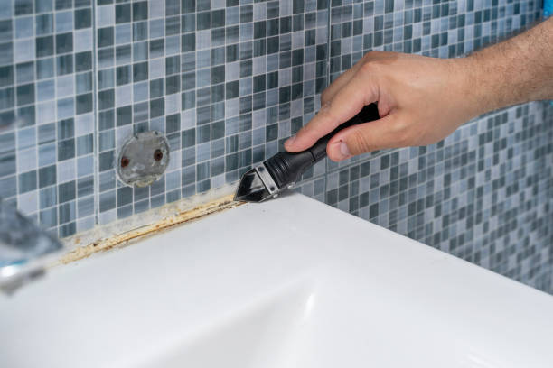Best Emergency Mold Removal  in Kalkaska, MI